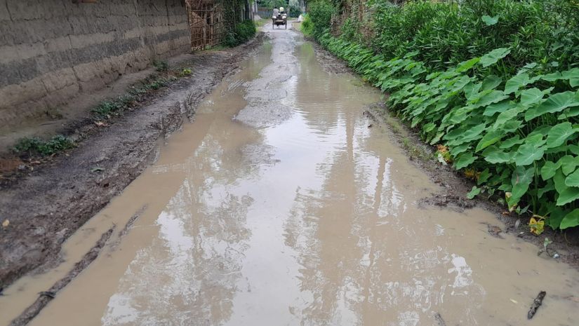 কালাই