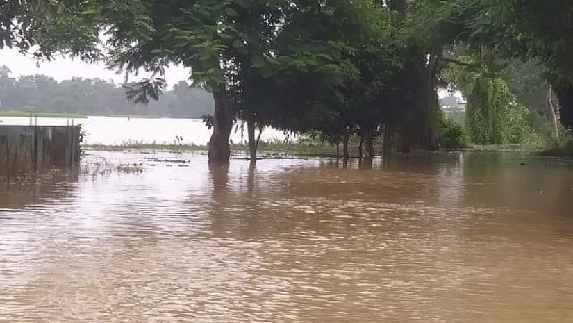 সারাদেশ