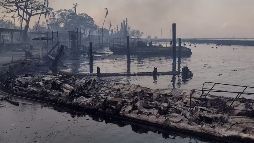 যুক্তরাষ্ট্রে