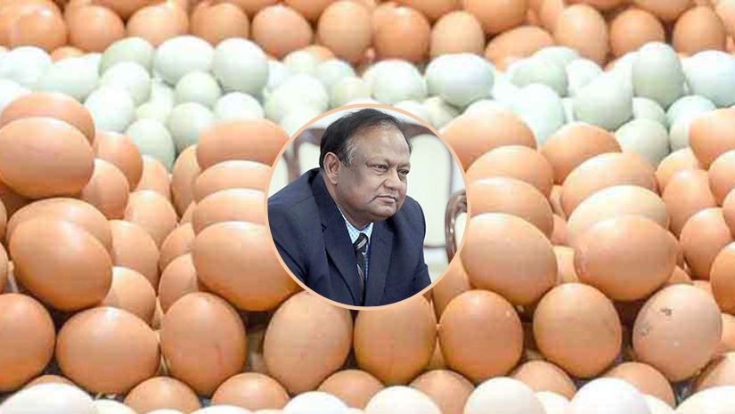 ডিম