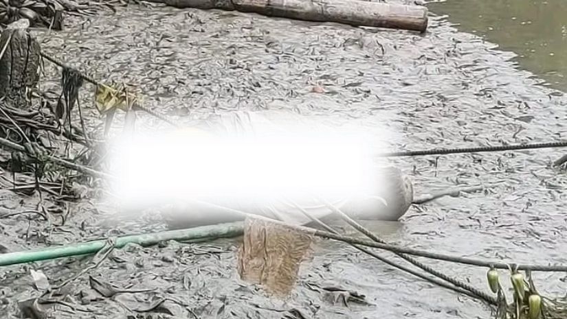 বরগুনা