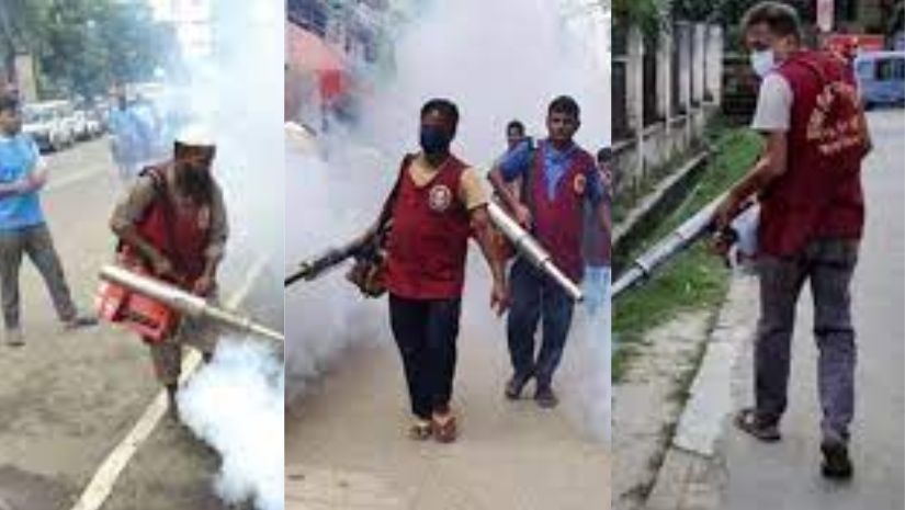 মশা