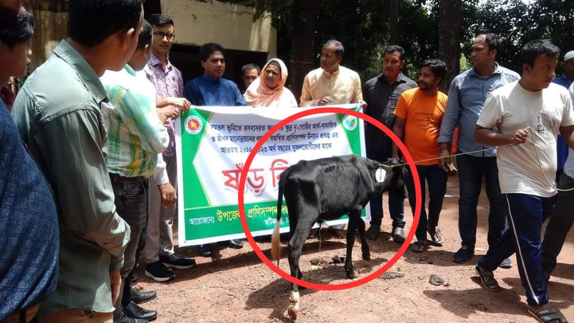 ফটিকছড়ি