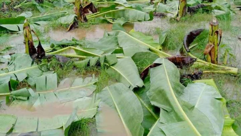 ঈশ্বরদী