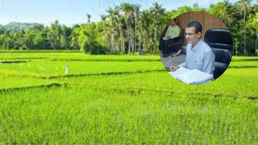 জমি