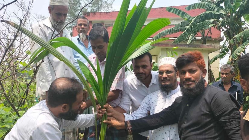 দুমকীতে বিদ্যালয়ের আঙ্গিনায় ইউপি সদস্যের ফলদ বৃক্ষ রোপন