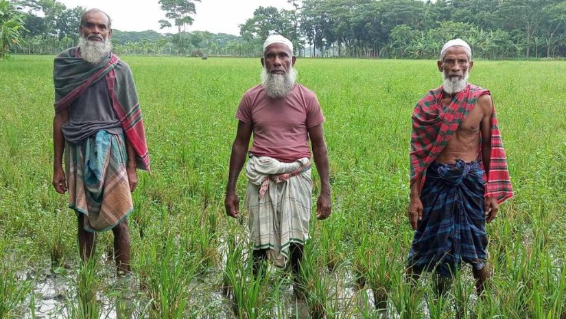 দুমকী