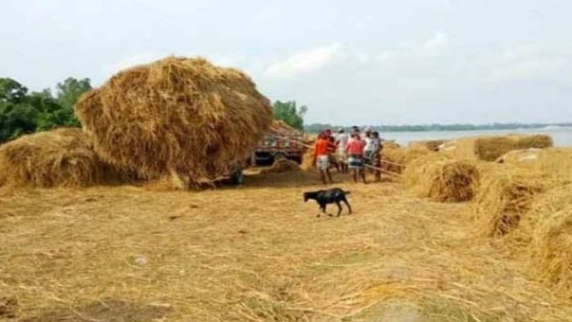 খড়ের গাদা
