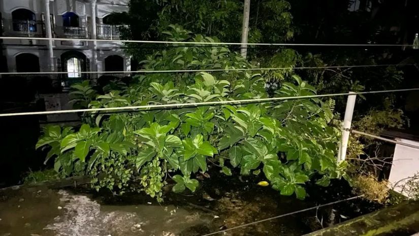 ফটিকছড়ি