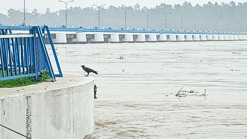 তিস্তা