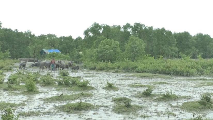 নোয়াখালী