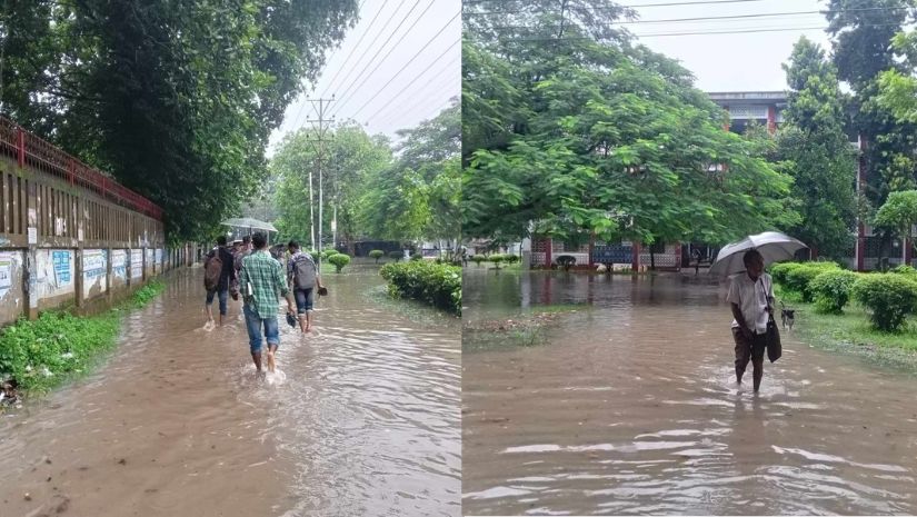 রাবি