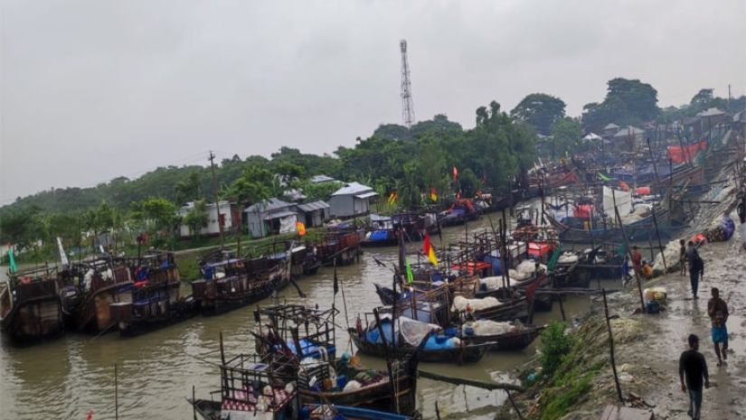 ইলিশে