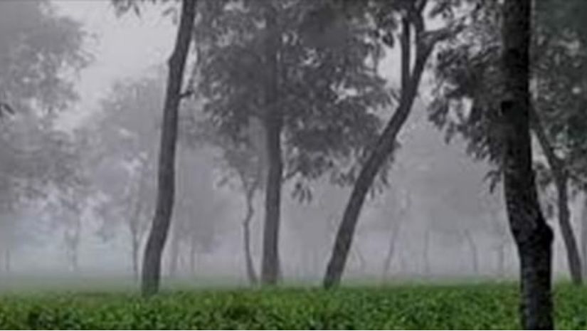 শ্রীমঙ্গলে শীতের পূর্বাভাস