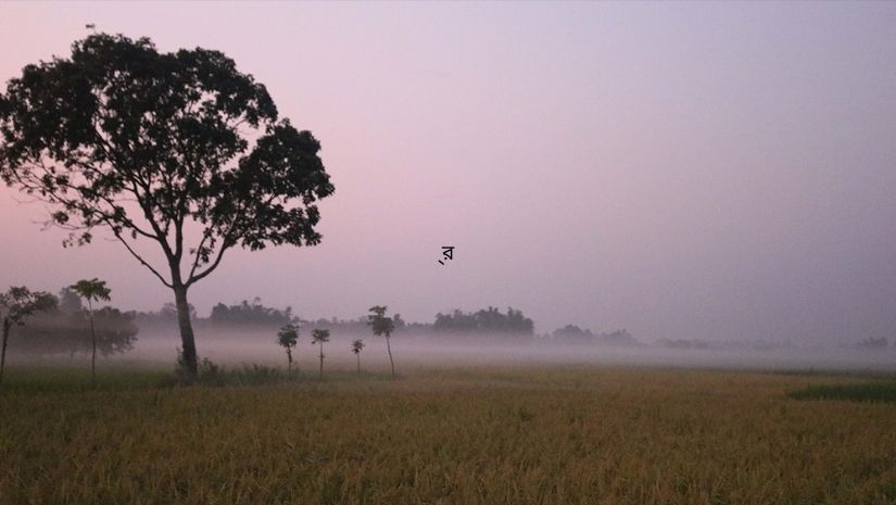 শীত