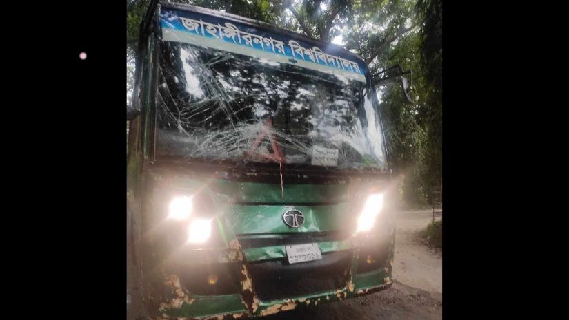 জাবি