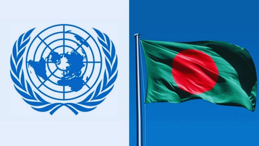 সহিংসতা