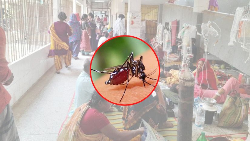 ডেঙ্গু