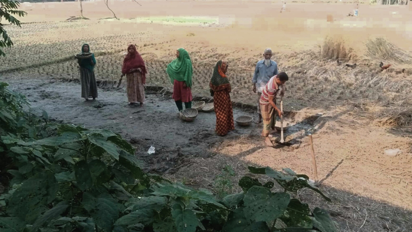 গাইবান্ধা