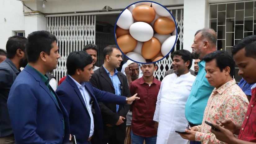ডিম