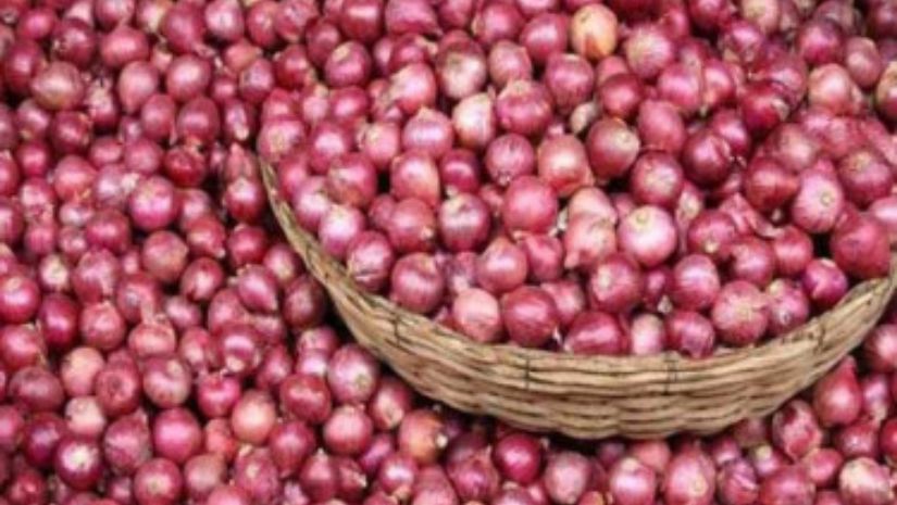 পেঁয়াজ