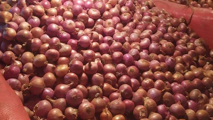 পেঁয়াজ