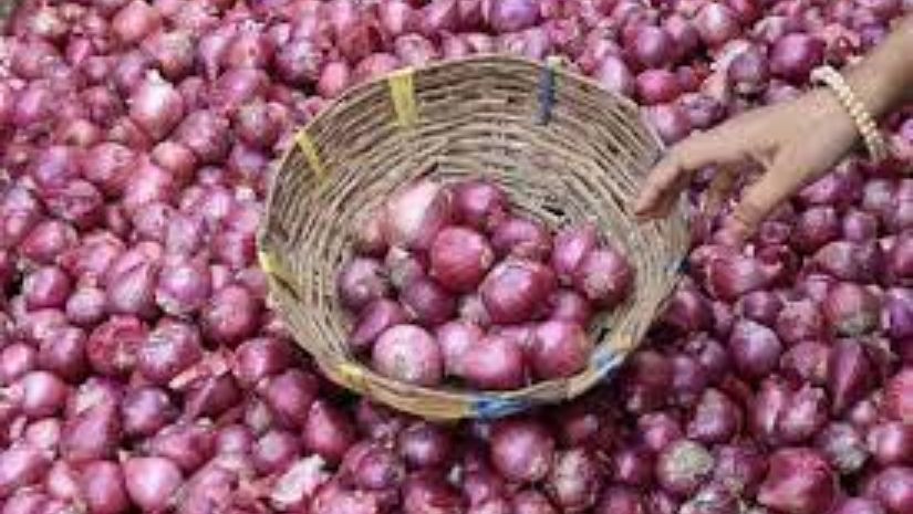 পেঁয়াজ রপ্তানি