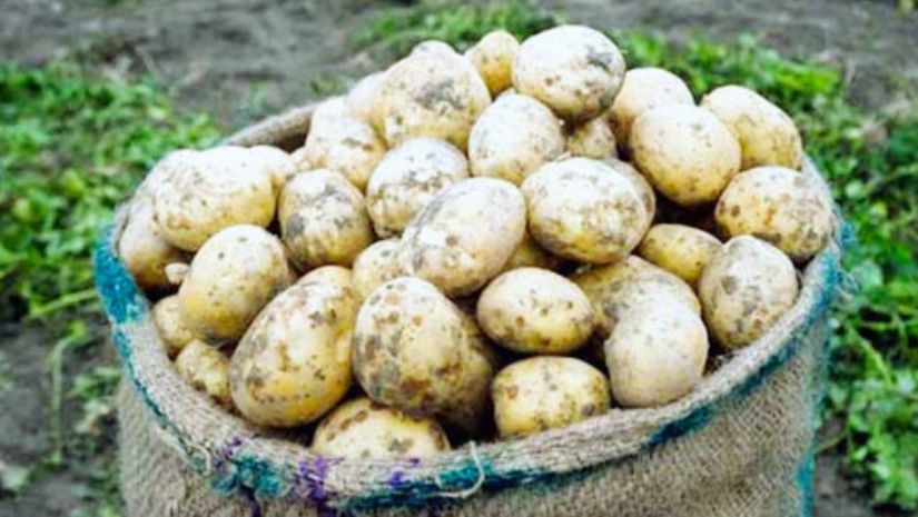 অর্থনীতি