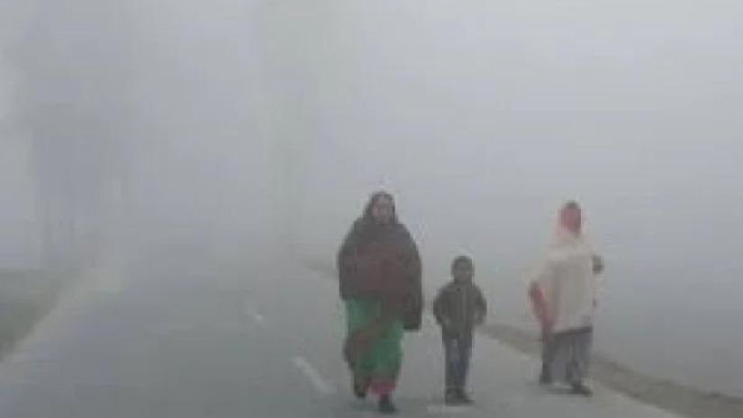 শৈত্যপ্রবাহে