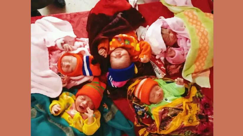 সাপাহার