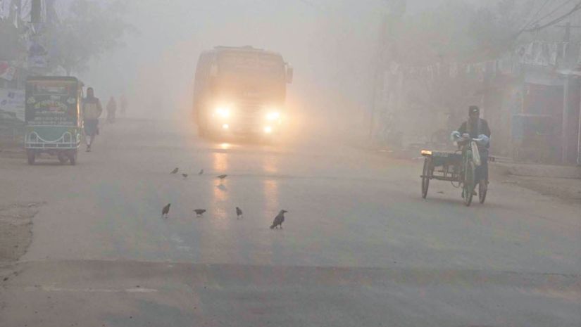 শীত