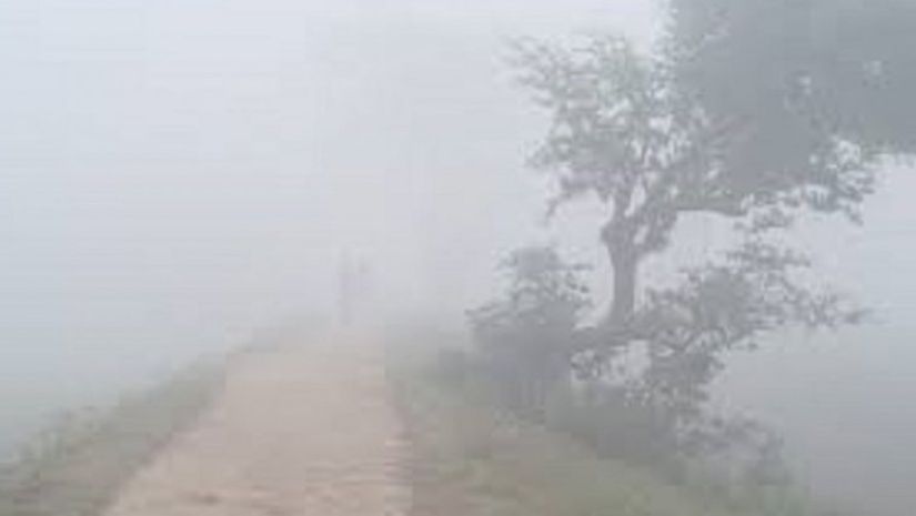 শীত