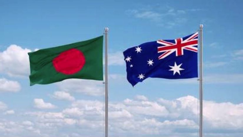 নির্বাচন