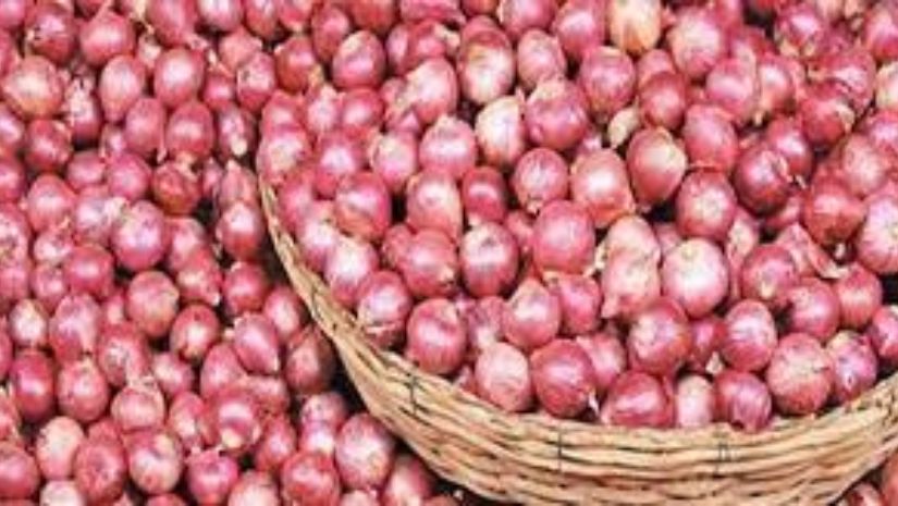 পেঁয়াজ