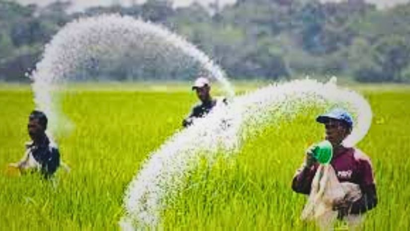 সার