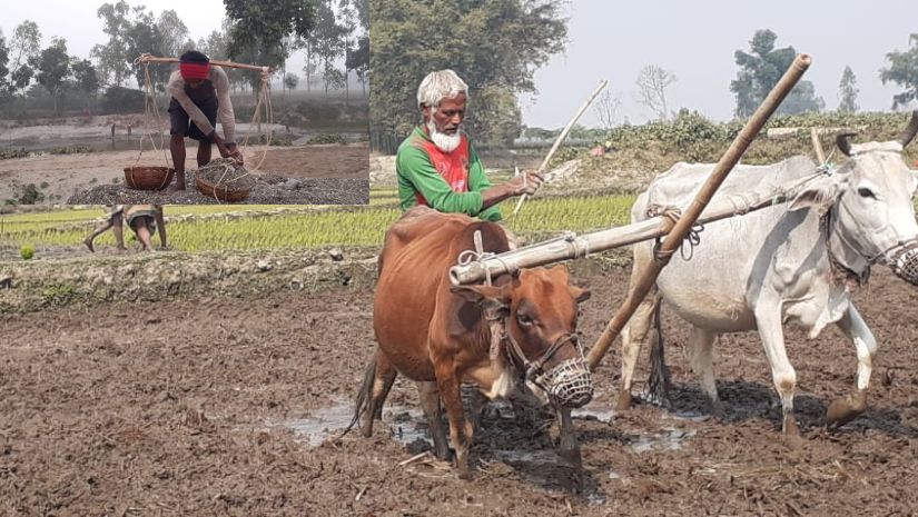 সারাদেশ