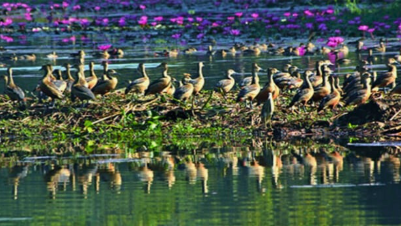 মৌলভীবাজার