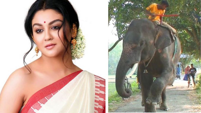 জয়া আহসান