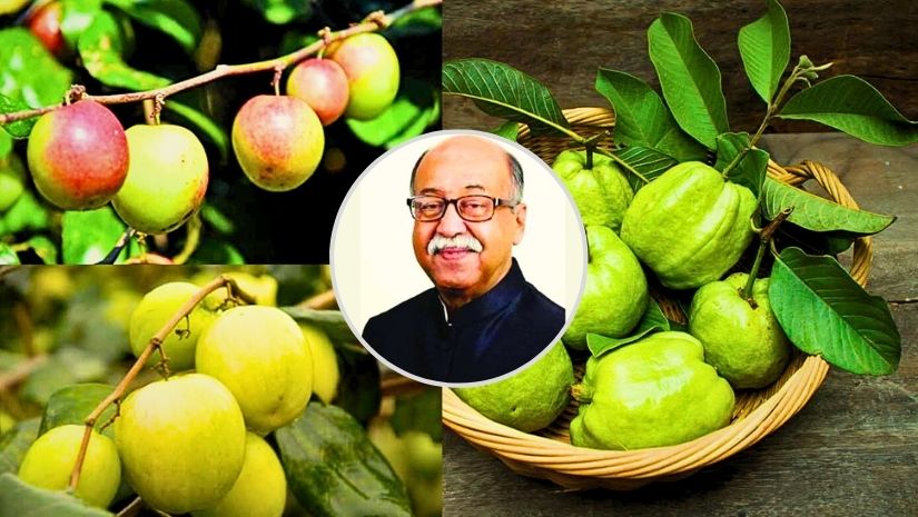 জাতীয়