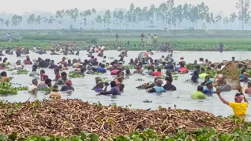 নরসিংদী