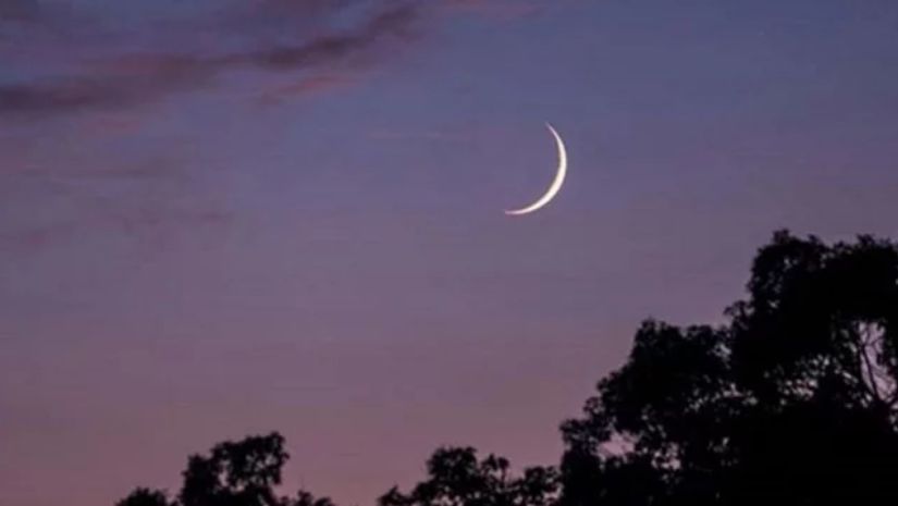 রোজা