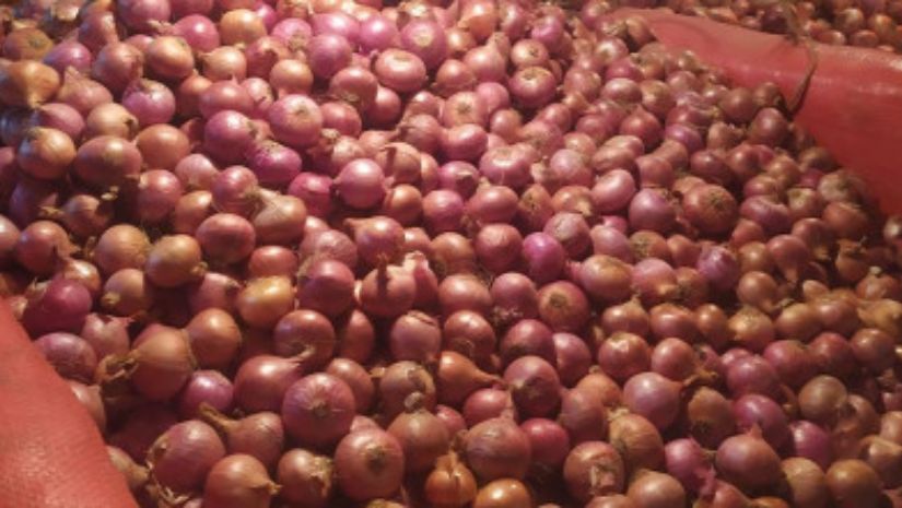 পেঁয়াজ