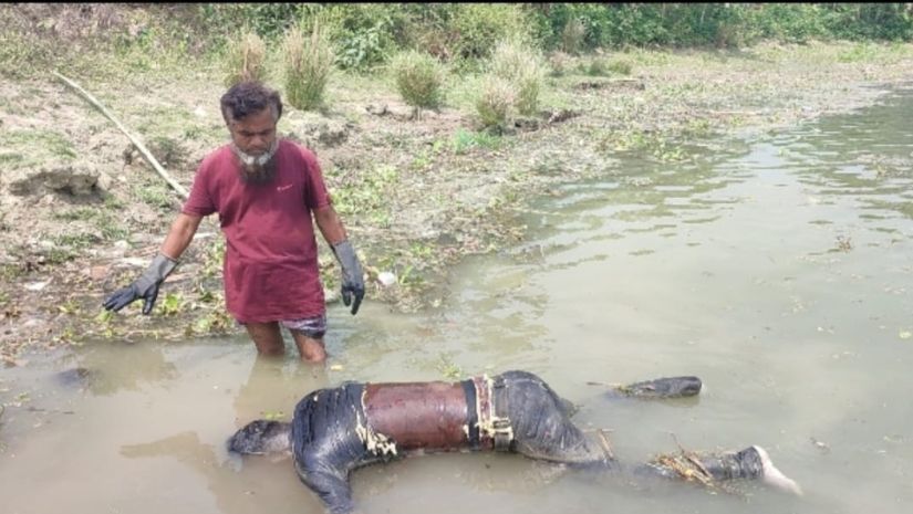 দুমকি