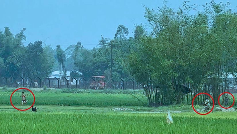 বিএসএফ