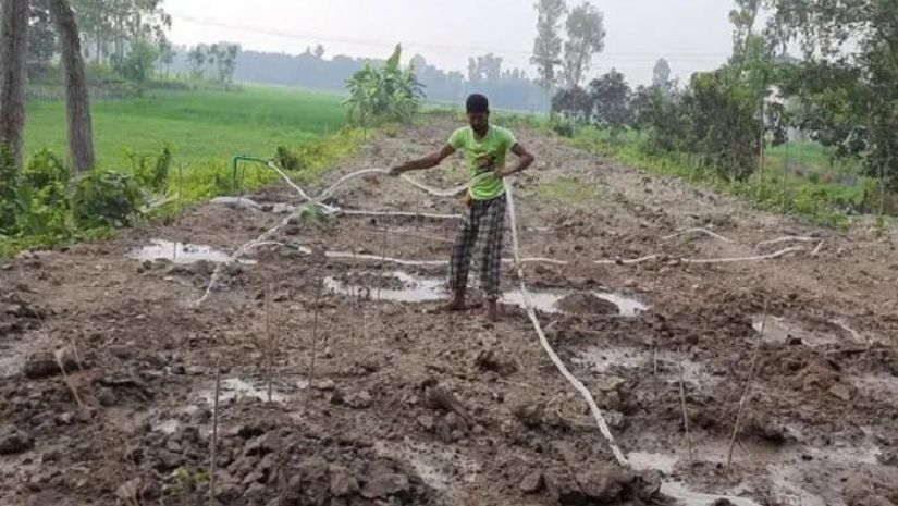 তাপ