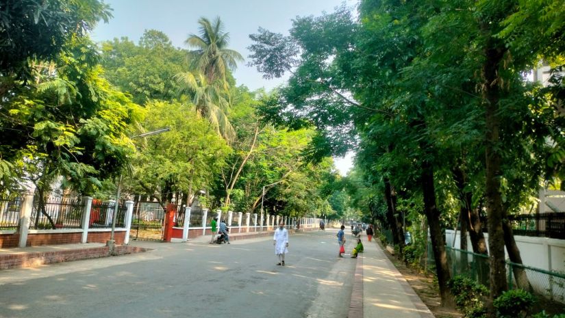 গাছ