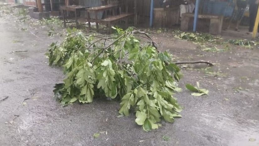 ইবি