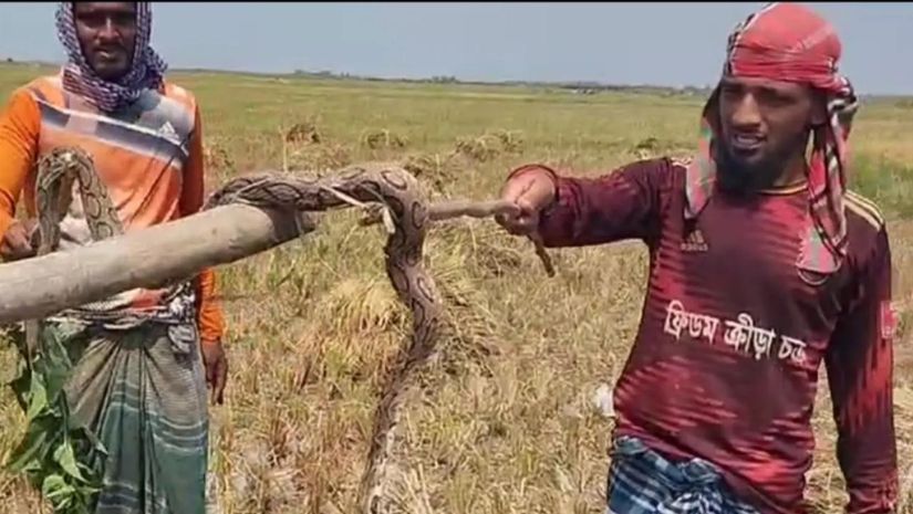 চাঁদপুরে