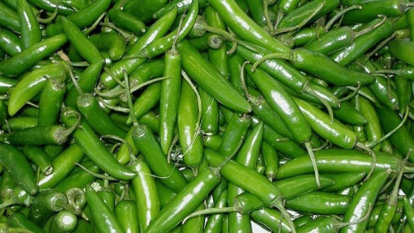 কাঁচামরিচ