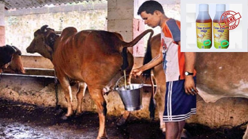 ভারতে
